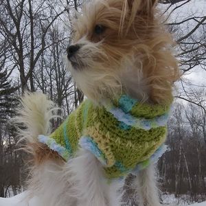 Meet your Posher, Heidi